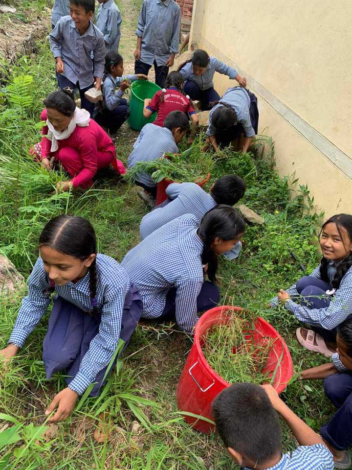 तिनाउकाे कालिका विद्यालयका विद्यार्थी वातावरण समूहद्वारा सरसफाइ